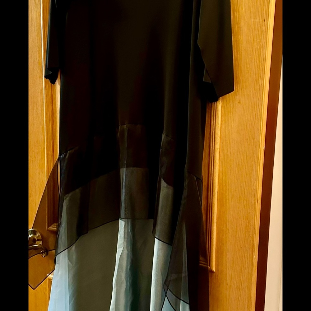 Elegant Black and Blue Sheer Dress